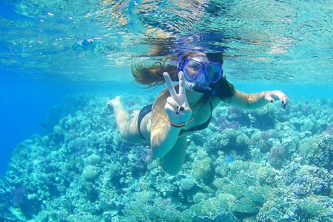 PRIVATE TOUR ! 4-Hours Swiming With Dolphins, Snorkeling, Island by Speed Boat - Highlights of the Experience
