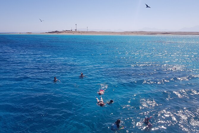 PRIVATE TOUR ! 4-Hours Swiming With Dolphins, Snorkeling, Island by Speed Boat - Preparing for the Tour