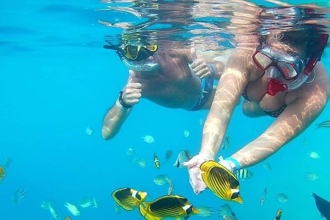 PRIVATE TOUR ! 4-Hours Swiming With Dolphins, Snorkeling, Island by Speed Boat - Additional Information