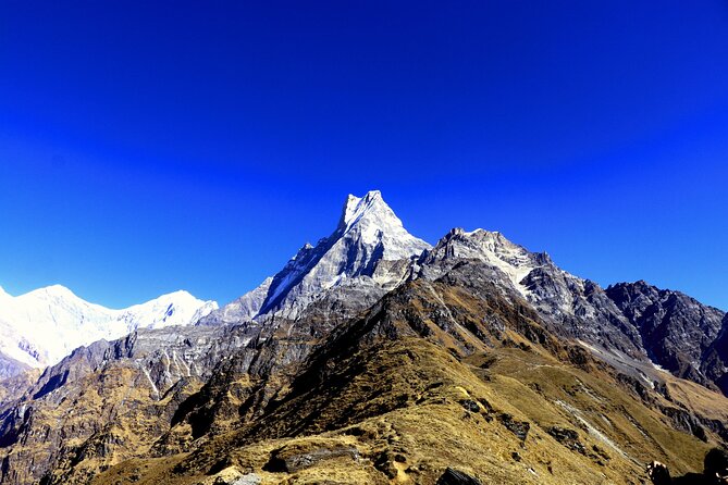 Private Tour 5 Day Mardi Himal Trek - Trekking Highlights