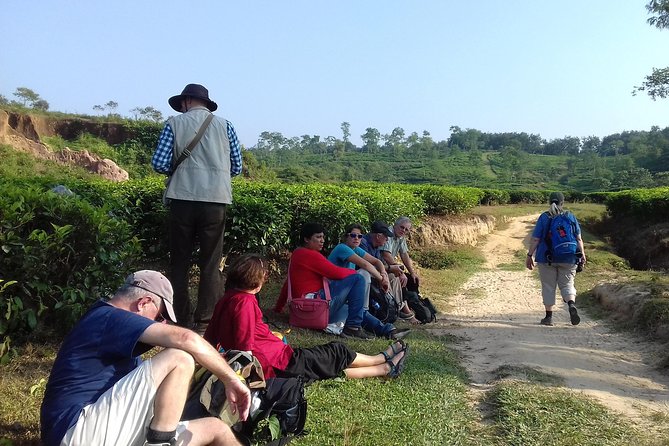 Private Tour: 5 Days - Bangladesh Nature & Culture Tour - North-Eastern Part - Lawachara National Park