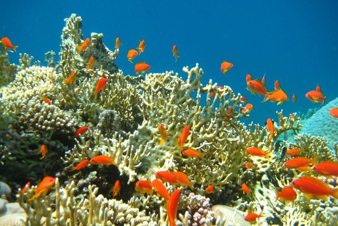 Private Tour 5 Days Cairo & Sharm El Sheikh Package - Pickup Information