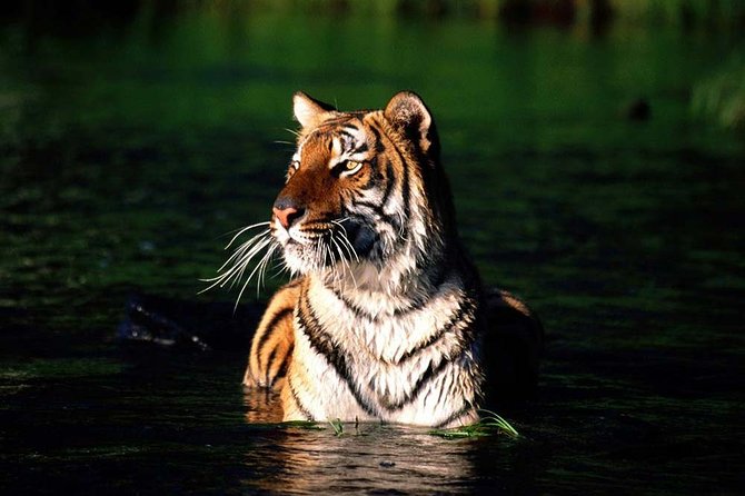 Private Tour: 9 Days - World Heritage Tour of Bangladesh - Tour Itinerary