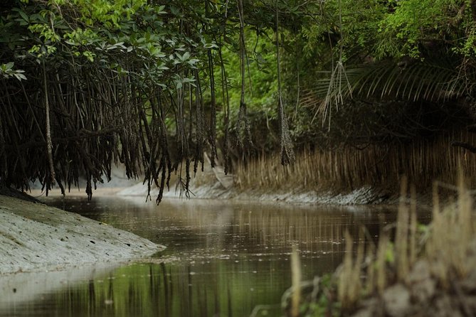 Private Tour: 9 Days - World Heritage Tour of Bangladesh - Frequently Asked Questions
