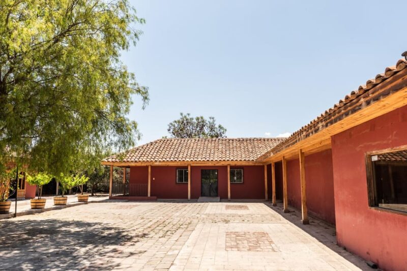 Private Tour Aconcagua Valley - Experience Highlights