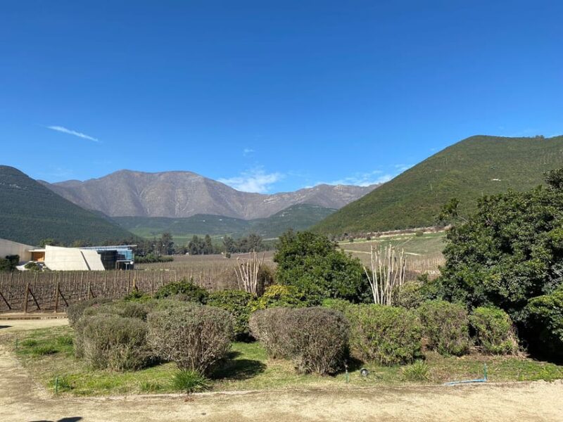 Private Tour Aconcagua Valley - Detailed Tour Description