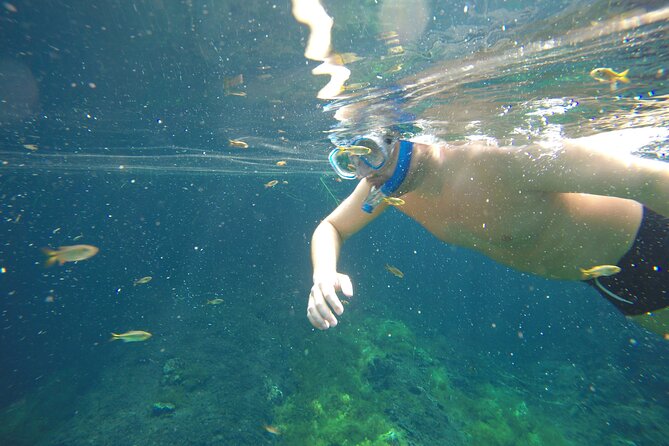 Private Tour: Akumal Marine Turtle Snorkeling From Cozumel - Snorkeling Experience