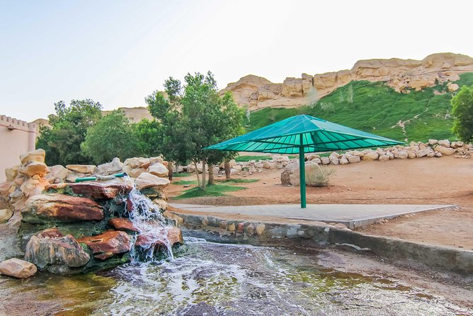 Private Tour : Al Ain City Sightseeing With Lunch From Dubai - Highlights and Activities