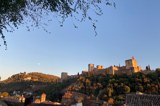 Private Tour Albayzin and City Center (Entrance Fees Included) - Key Points