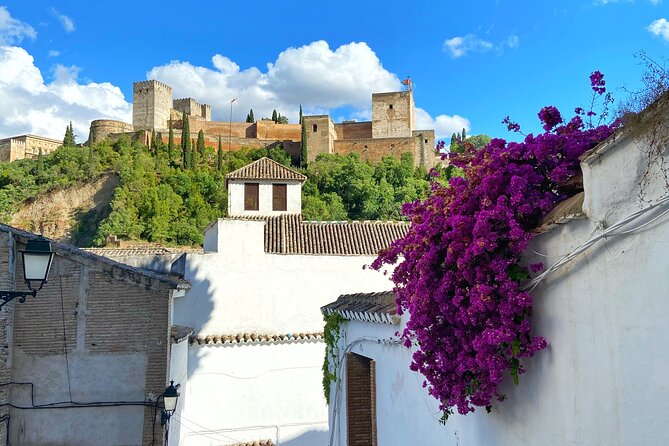 Private Tour Albayzin and City Center (Entrance Fees Included) - Inclusions