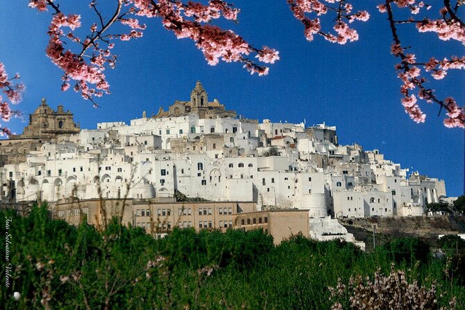 Private Tour Alberobello, Locorotondo With Wine Tasting - About Your Stay
