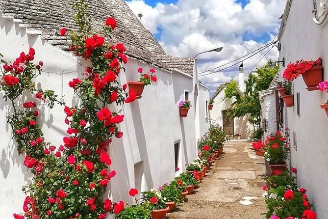 Private Tour Alberobello, Locorotondo With Wine Tasting - Indulge in Wine Tasting
