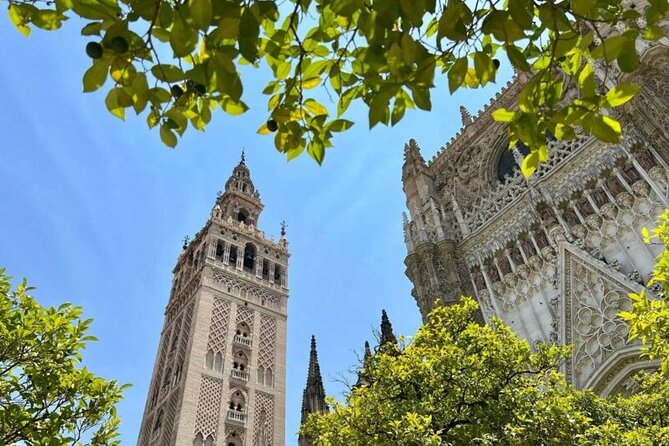 Private Tour Alcazar Seville Cathedral and Giralda Tower Climb - Private Tour Highlights