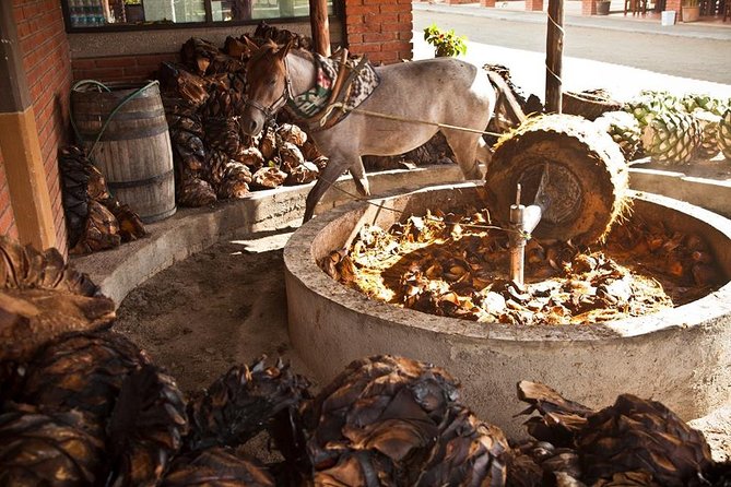 Private Tour, All Inclusive: Tlacochahuaya, Mezcal, Teotitlán Del Valle - Cancellation and Booking Policies