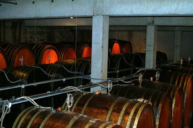 Private Tour: Alsace Wine Tasting Day Trip From Colmar - Visiting Alsace Wineries