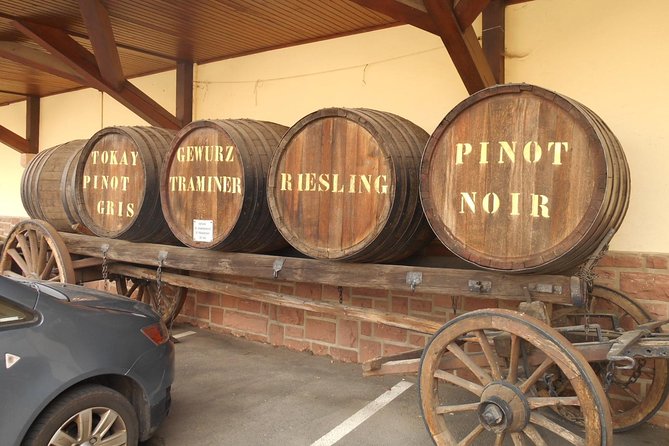Private Tour: Alsace Wine Tasting Day Trip From Colmar - Knowledgeable Local Guide