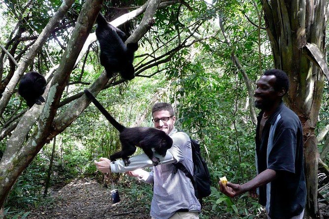 Private Tour Altun Ha Cave Tubing and Baboon Sanctuary From Belize City - Highlights of the Experience