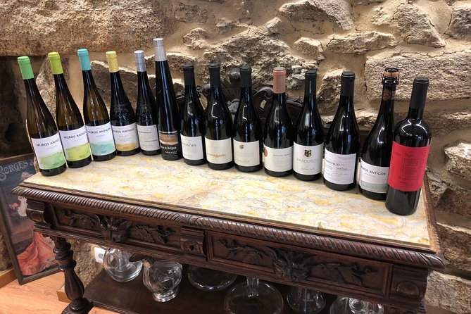 Private Tour Alvarinho (Melgaço and Monção) Includes 3 Wine Tastings - Alvarinho Vineyards