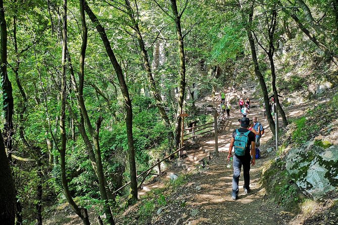 Private Tour: Amalfi Valle Delle Ferriere Nature Reserve Walking Tour - Picturesque Lemon Groves