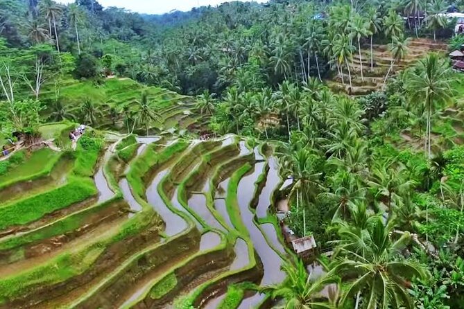 Private Tour: Amazing 3 Days Bali Sightseeing Tour Package With Airport Transfer - Itinerary Highlights