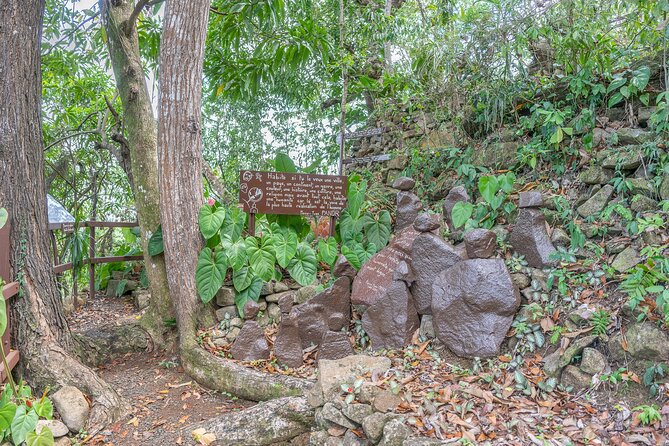 Private Tour An Mao Landscaped and Historical Garden - Meeting Details