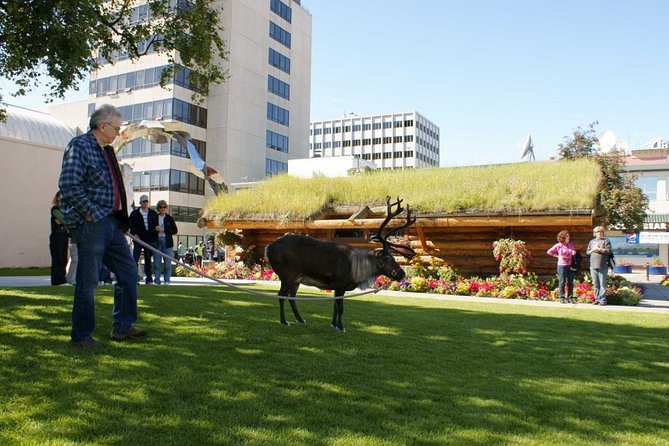 Private Tour: Anchorage 3-Hour Tour - Tour Inclusions and Details
