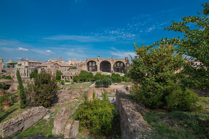 Private Tour: Ancient Rome Half-Day Walking Tour With Arena Entrance and Piazzas - Tour Accessibility and Requirements