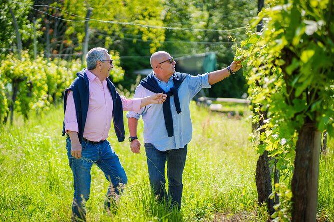 Private Tour and Goblet Walking in the Valdobbiadene Vineyards - Meeting and Pickup Details
