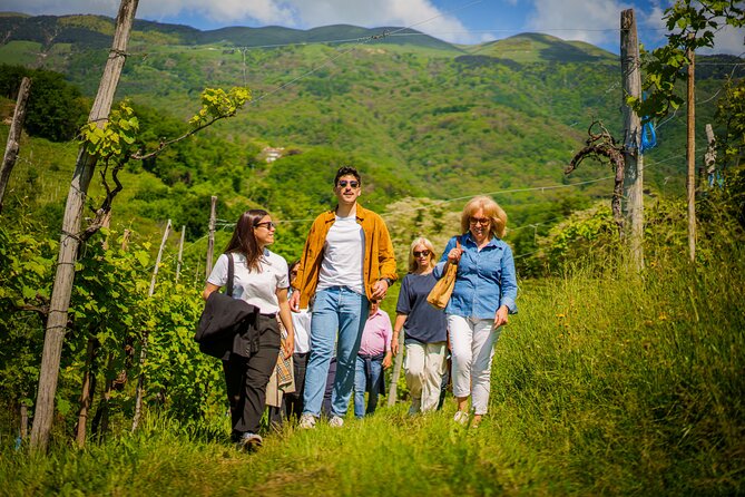 Private Tour and Goblet Walking in the Valdobbiadene Vineyards - Booking Information
