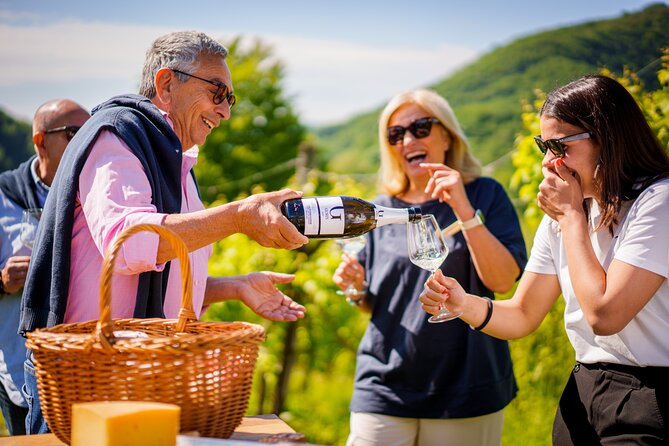 Private Tour and Goblet Walking in the Valdobbiadene Vineyards - Discovering Valdobbiadenes Sparkling Wines