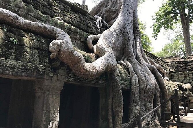 Private Tour: Angkor Highlights Full-Day - Exploring Angkor Thom