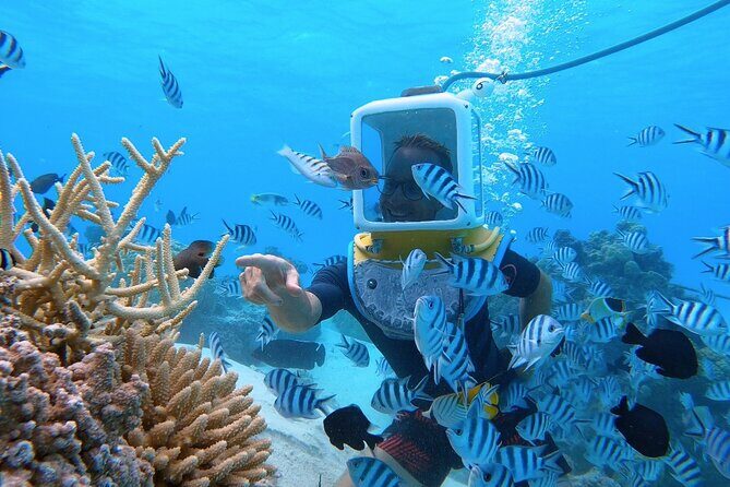 Private Tour: Aqua Safari Scuba Diving - How the Tour Works and What to Expect
