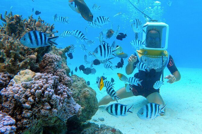 Private Tour: Aqua Safari Scuba Diving - The Value of the Experience