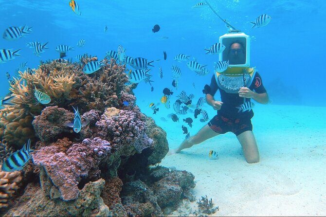 Private Tour: Aqua Safari Scuba Diving - Transportation, Timing, and Practicalities