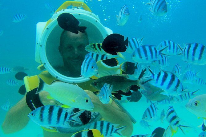 Private Tour: Aqua Safari Scuba Diving - Authentic Perspectives from Past Participants