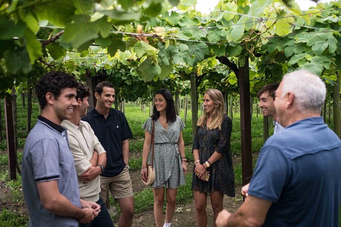 Private Tour at a Family Winery and Basque Coast Route - Included in the Tour