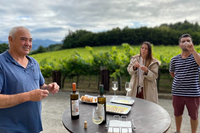 Private Tour at a Family Winery and Basque Coast Route - Reviews and Booking Details