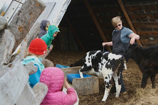 Private Tour at Historic Alaska Dairy Farm - What’s Included and What to Expect