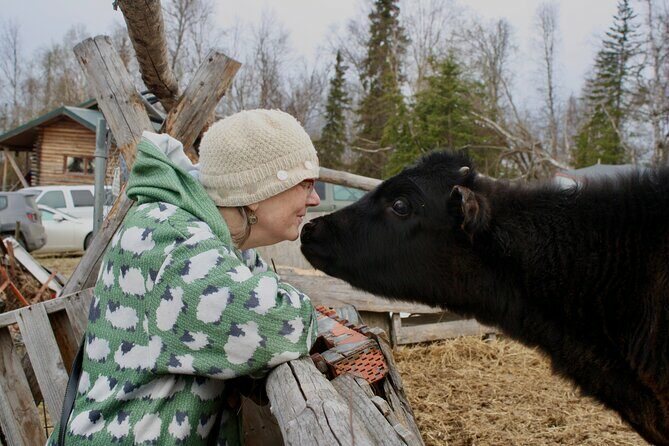 Private Tour at Historic Alaska Dairy Farm - Authenticity and Visitor Feedback