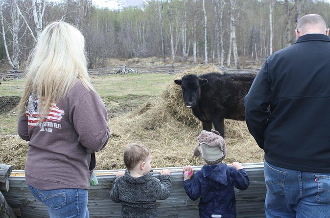 Private Tour at Historic Alaska Dairy Farm - The Sum Up