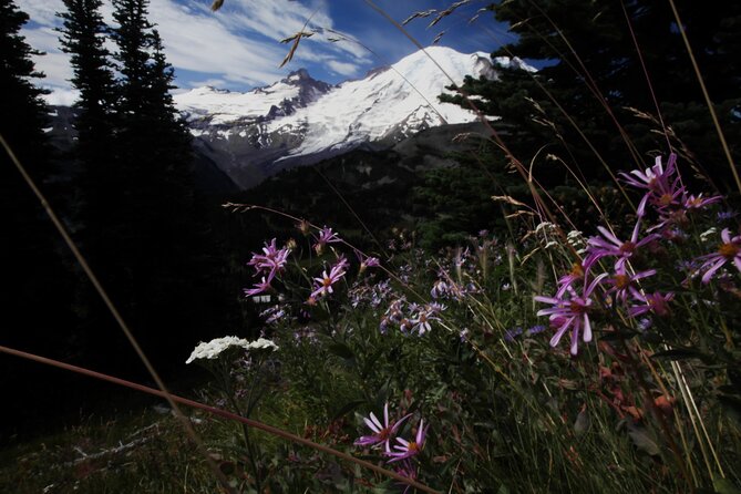 Private Tour at Mt Rainier in Seattle - Pickup and Transportation