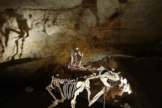 Private Tour at Naracoorte Caves - Key Points