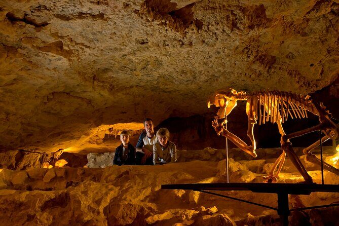 Private Tour at Naracoorte Caves - The Experience in Detail