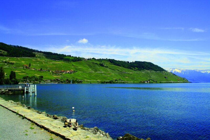 Private Tour at Swiss Riviera From Geneva - Chillon Castle Exploration
