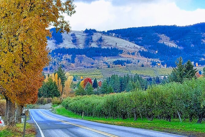 Private Tour at The Hood-Columbia Loop: Timberline, Orchards, and Waterfalls - Enjoying the Breathtaking Waterfalls of the Region