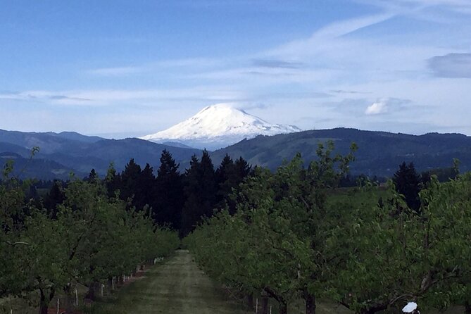 Private Tour at The Hood-Columbia Loop: Timberline, Orchards, and Waterfalls - Booking Your Private Tour: Pricing and Flexibility Options