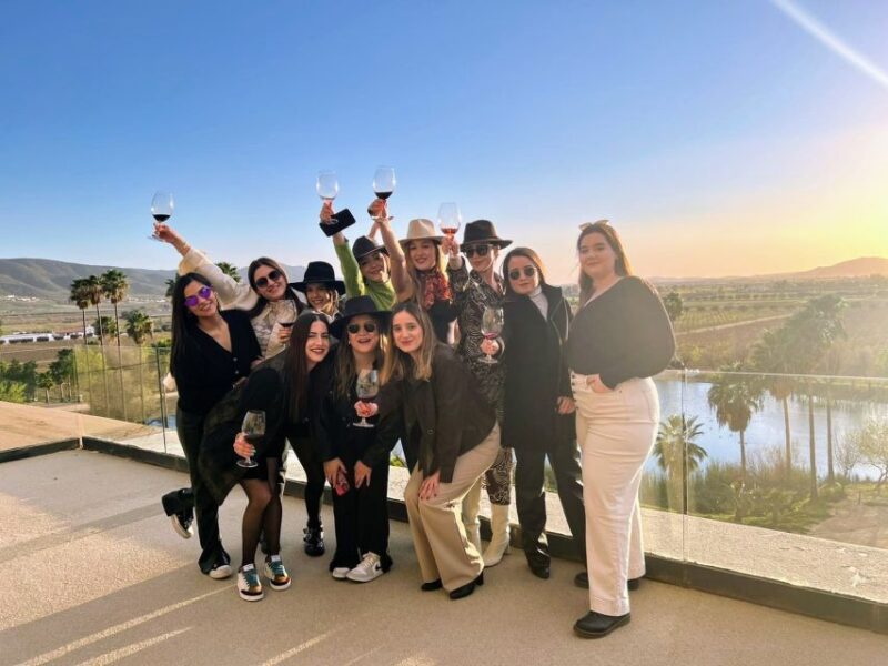 Private Tour at Valle De Guadalupe - Winery Visits