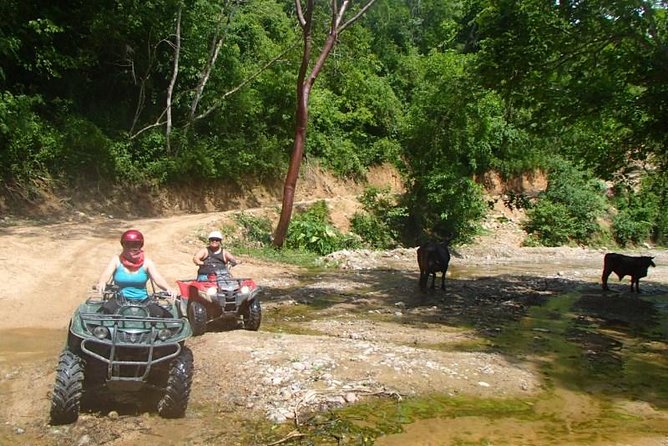 Private Tour: ATV SIERRA MADRE - Activity Suitability