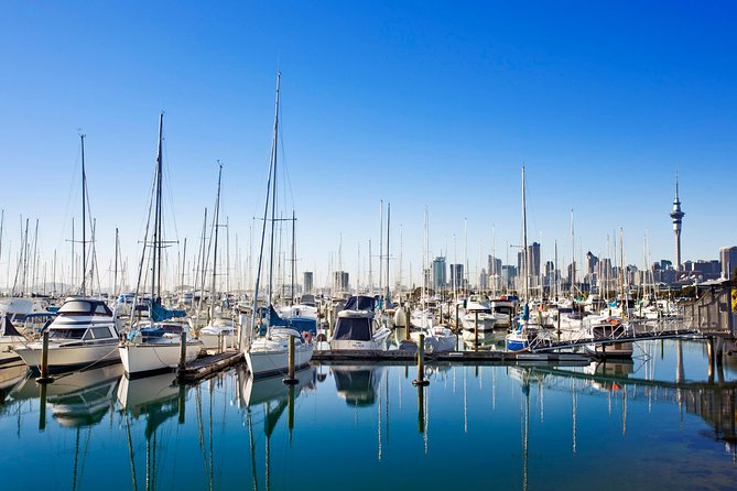 Private Tour: Auckland City and Countryside Tour - Customization and Flexibility