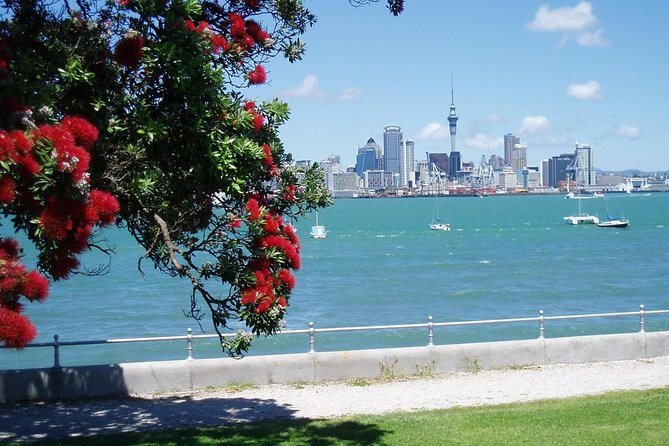 Private Tour: Auckland City and Countryside Tour - Language and Guide Availability